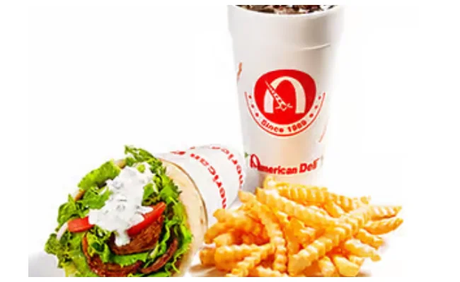 Gyro With fries Combo