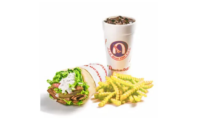 Beef Gyro & Fries Combo