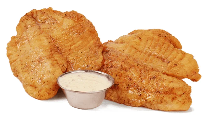 Tilapia Fish