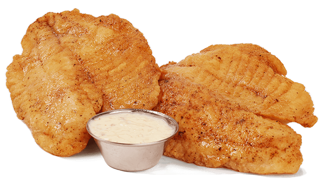 TILAPIA FISH